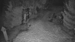 Bílá - běžecká trať