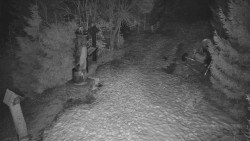 Bílá - běžecká trať