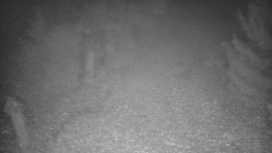 Bílá - běžecká trať