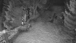 Bílá - běžecká trať