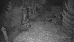 Bílá - běžecká trať