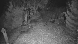 Bílá - běžecká trať