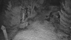 Bílá - běžecká trať