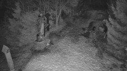 Bílá - běžecká trať