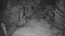 Bílá - běžecká trať