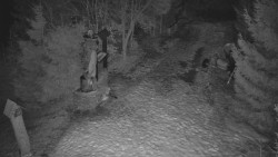 Bílá - běžecká trať