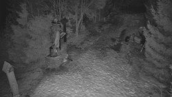 Bílá - běžecká trať