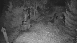 Bílá - běžecká trať