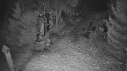 Bílá - běžecká trať