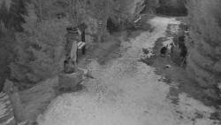 Bílá - běžecká trať