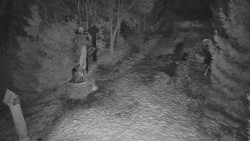 Bílá - běžecká trať