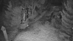 Bílá - běžecká trať