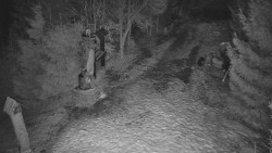 Bílá - běžecká trať