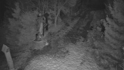 Bílá - běžecká trať