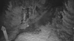 Bílá - běžecká trať