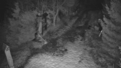 Bílá - běžecká trať