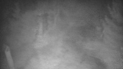 Bílá - běžecká trať