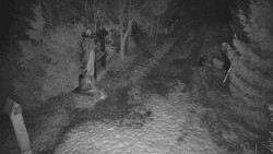 Bílá - běžecká trať