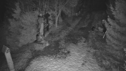 Bílá - běžecká trať