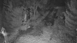 Bílá - běžecká trať