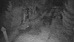 Bílá - běžecká trať