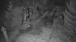 Bílá - běžecká trať