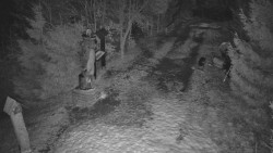 Bílá - běžecká trať