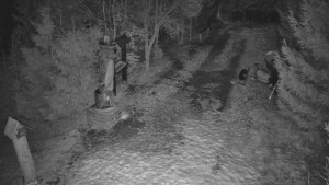 Skiareál Bílá - Bílá - běžecká trať - 3.3.2026 v 03:00 Skiareál Bílá - Bílá - běžecká trať - 3.3.2026 v 03:00