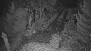 Skiareál Bílá - Bílá - běžecká trať - 3.3.2026 v 19:30 Skiareál Bílá - Bílá - běžecká trať - 3.3.2026 v 19:30