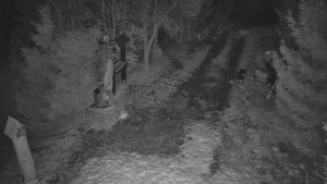 Skiareál Bílá - Bílá - běžecká trať - 3.3.2026 v 20:00 Skiareál Bílá - Bílá - běžecká trať - 3.3.2026 v 20:00