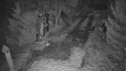 Bílá - běžecká trať