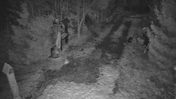 Bílá - běžecká trať