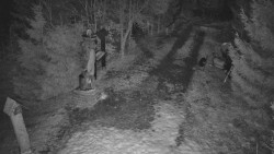 Bílá - běžecká trať