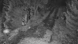 Bílá - běžecká trať