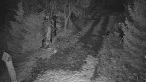 Skiareál Bílá - Bílá - běžecká trať - 5.3.2026 v 00:30