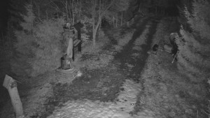 Skiareál Bílá - Bílá - běžecká trať - 5.3.2026 v 02:30