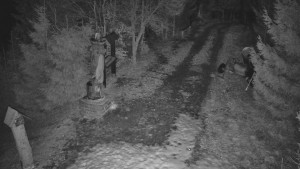 Skiareál Bílá - Bílá - běžecká trať - 5.3.2026 v 04:30