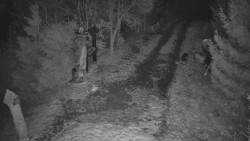 Bílá - běžecká trať