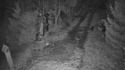 Bílá - běžecká trať