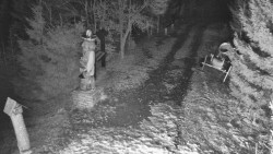 Bílá - běžecká trať