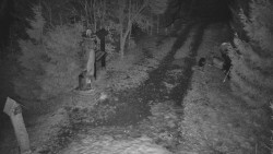 Bílá - běžecká trať