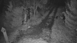 Bílá - běžecká trať