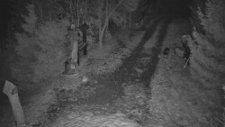 Bílá - běžecká trať