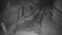 Bílá - běžecká trať