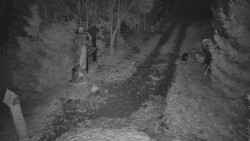 Bílá - běžecká trať