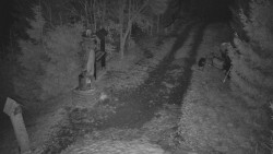 Bílá - běžecká trať