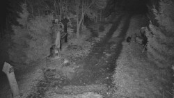 Bílá - běžecká trať