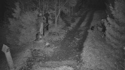 Bílá - běžecká trať