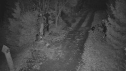 Bílá - běžecká trať