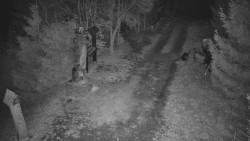 Bílá - běžecká trať